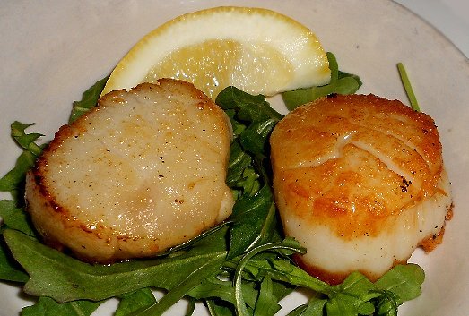 Scallops - image.